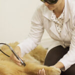 laserterapia